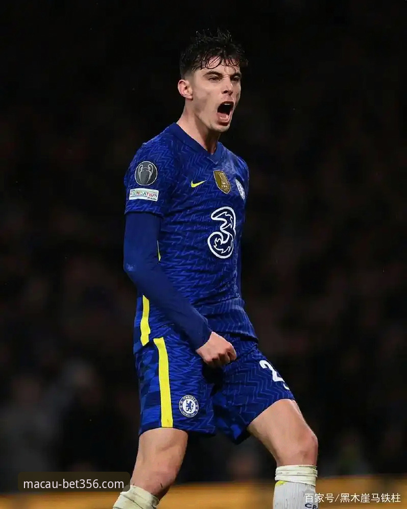 巴尔韦德帽子戏法背后的战术密码：一次在bet356体育平台完成的深度复盘