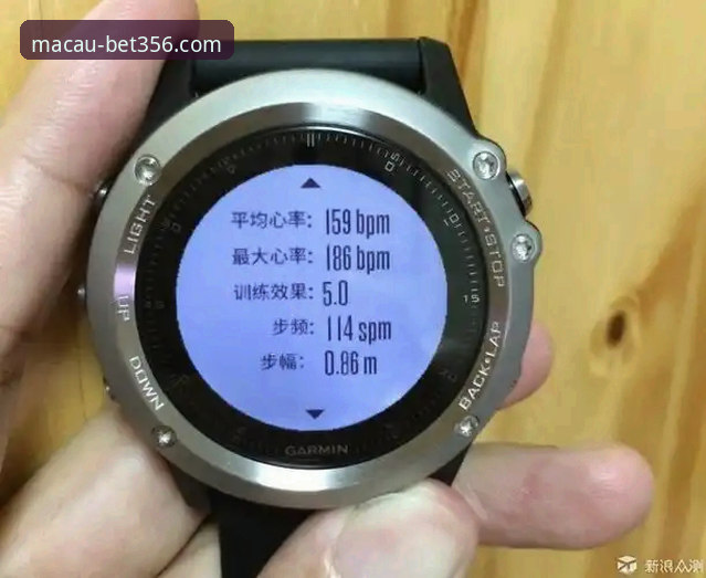 bet356体育在线电脑版安全吗 bet356体育平台安全评测最新动态:电脑版v2.1.3版本深度技术解析