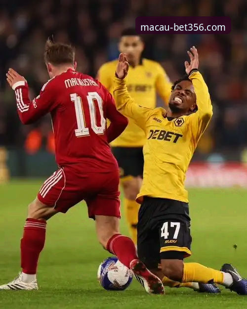 利物浦客场3-1力克狼队晋级足总杯八强：一场战术与效率的全面解析